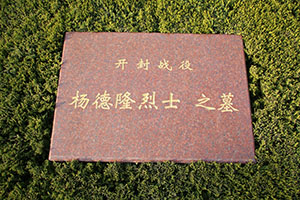 杨德隆(图1)