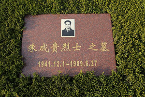 朱成贵(图1)