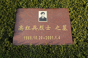 高红兵(图1)