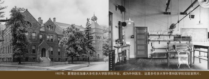 伟大的国际和平战士夏理逊(图2)