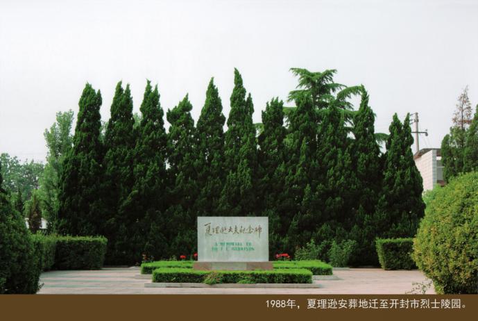 伟大的国际和平战士夏理逊(图7)